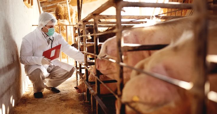 3719525df0e7e9e9ce9bedf00ff1d6ba