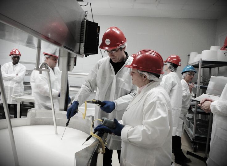 Proteína deshidratada en polvo